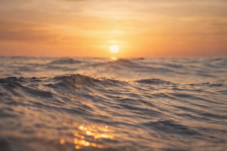 photo_5413730887507053982_y